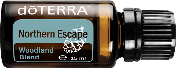 Northern Escape