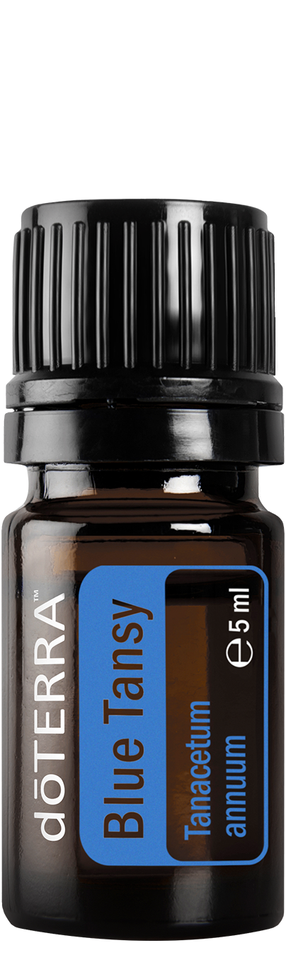 Blue Tansy oil