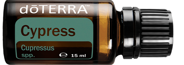 Cypress Oil