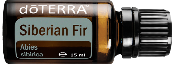 siberian fir oil