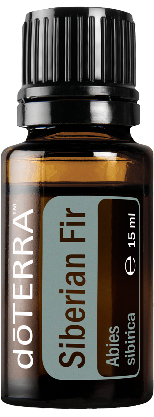 siberian fir oil