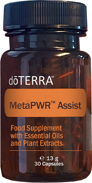 MetaPWR Assist