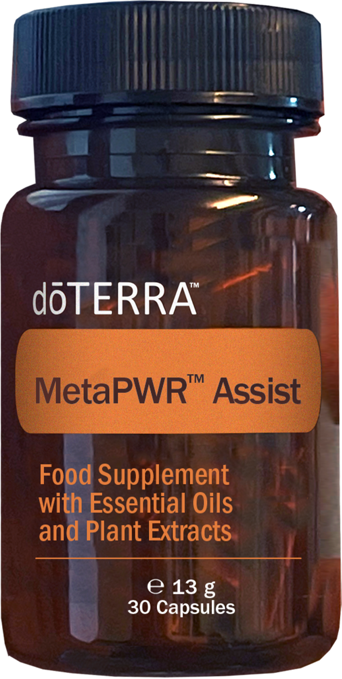 MetaPWR Assist